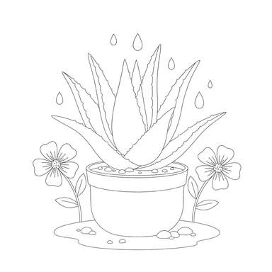 Coloriage Plante Aloès Vera