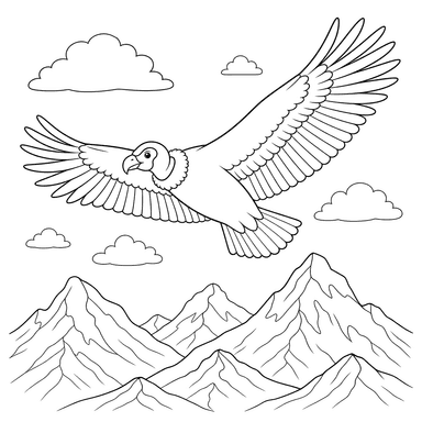 Condor des Andes survolant les montagnes