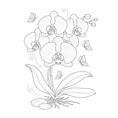 Ausmalbild Blühende Orchidee