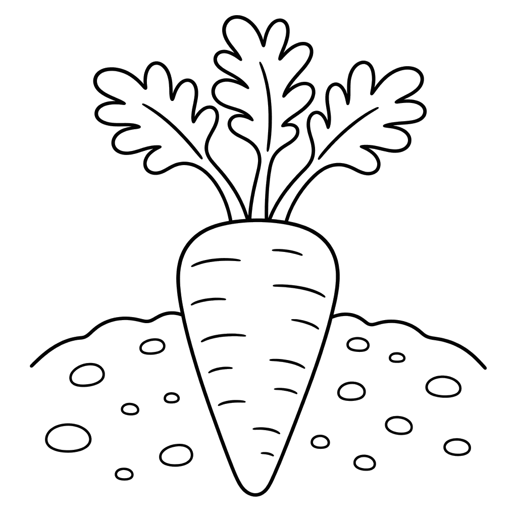 Desenho para colorir: cenoura