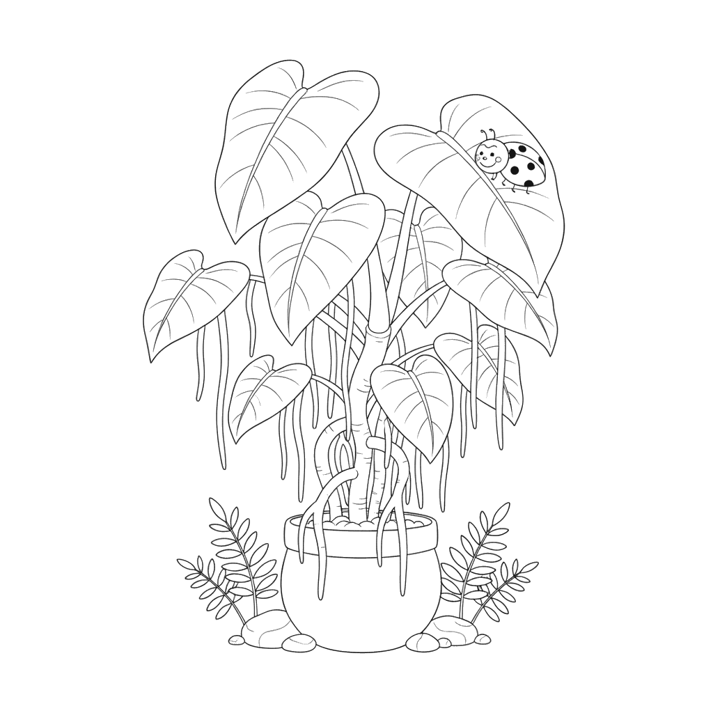 Philodendron mit Luftwurzeln Ausmalbild