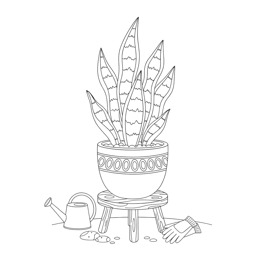Sansevieria im Topf Ausmalbild
